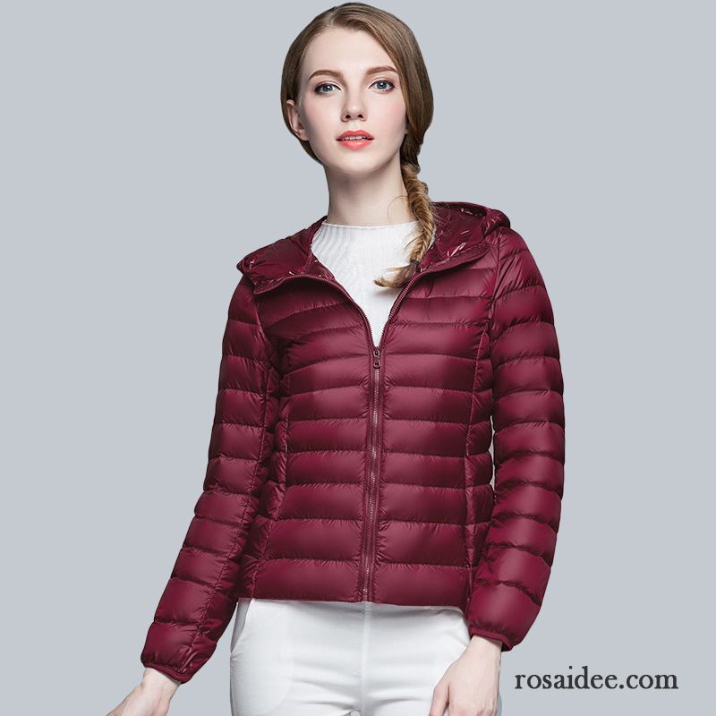 Leichte Steppjacke Damen Rosa Winter Herbst Licht Kapuze Mode Daunenjacke Kurzer Absatz Überzieher Neu Damen Kaufen